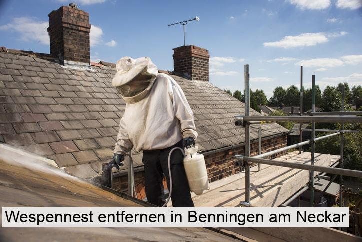 Wespennest entfernen in Benningen am Neckar